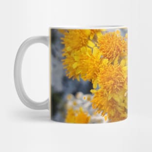 Yellow Unique Photography My Mug